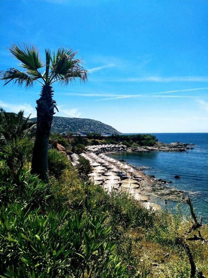 Seaview Apartments Anavyssos Zewnętrze zdjęcie